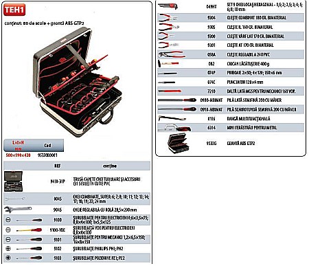 Truse scule generale - Trusa interventie (80 scule in geanta ABS) TEH1