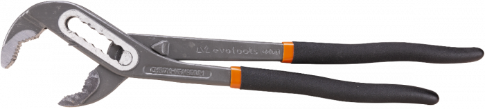 Cleste Papagal Plus [1]