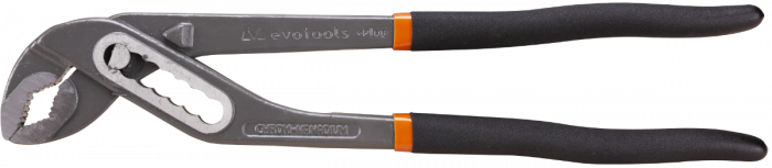 Cleste Papagal Plus [2]