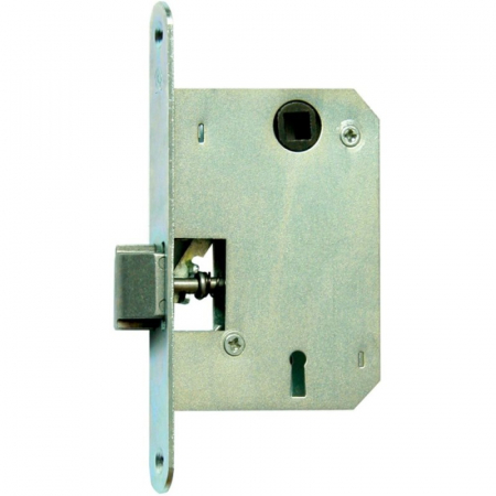 Broaste,manere,lacate,incuietori - Broasca ingropata usa cheie-P72 natur 35053