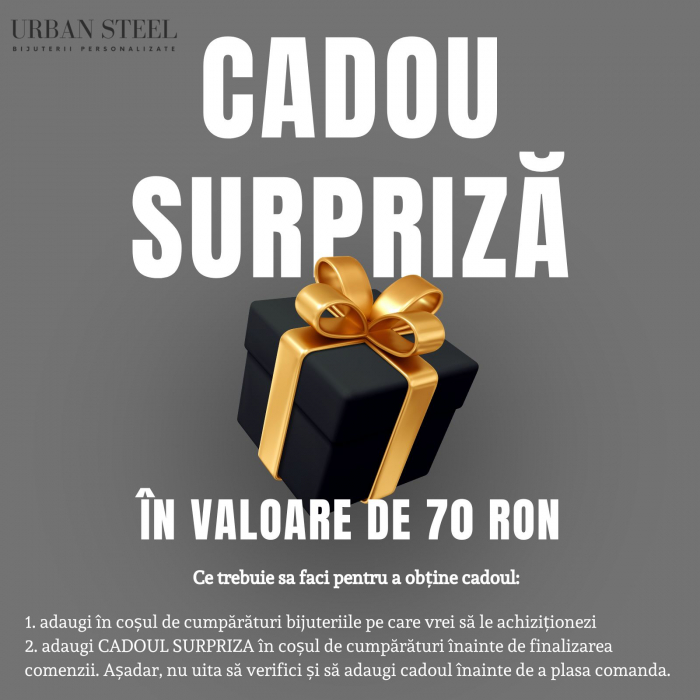 Bijuterie Cadou Urban Steel – Valoare 70 Lei [1]