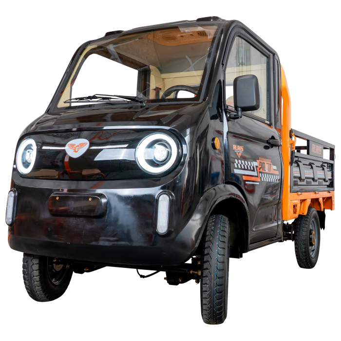 Camionetă electrică RURIS Pilot 5000N [3]