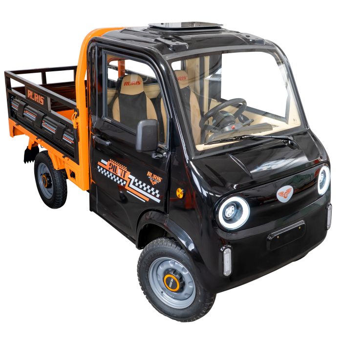 Camionetă electrică RURIS Pilot 5000N [5]