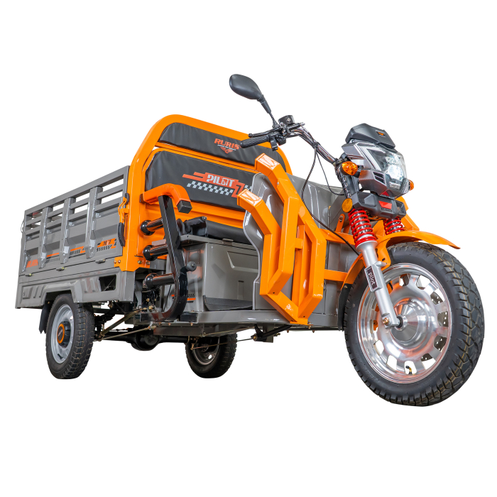 Triciclu electric Cargo RURIS Pilot 3130G [10]