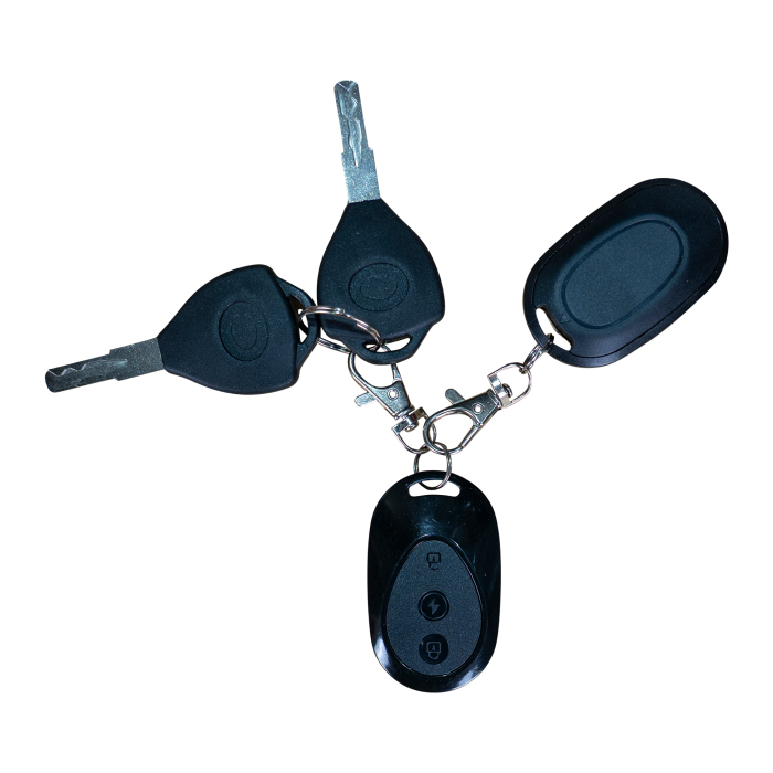 Triciclu electric RURIS Pilot 3020G [23]