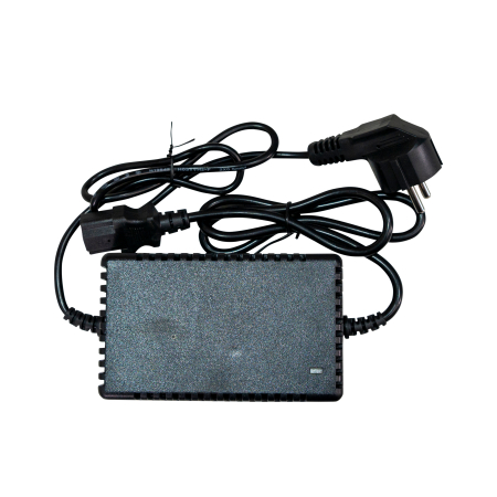 Roabă autopropulsată RURIS RTS 2000 ELECTRIC [9]