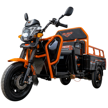 Triciclu electric Cargo RURIS Pilot 3110N [3]