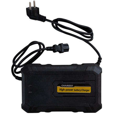 Triciclu electric Cargo RURIS Pilot 3120G [22]