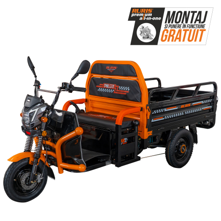 Tricicluri - Triciclu electric Cargo RURIS Pilot 3120N