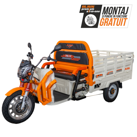 Tricicluri - Triciclu electric Cargo RURIS Pilot 3130A