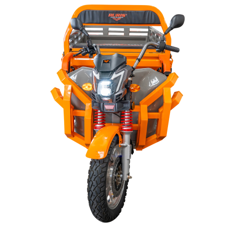 Triciclu electric Cargo RURIS Pilot 3130G [18]