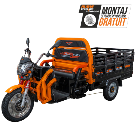 Tricicluri - Triciclu electric Cargo RURIS Pilot 3130N