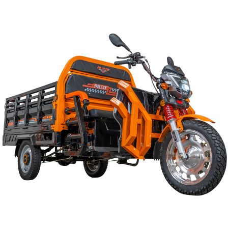 Triciclu electric Cargo RURIS Pilot 3130N [6]