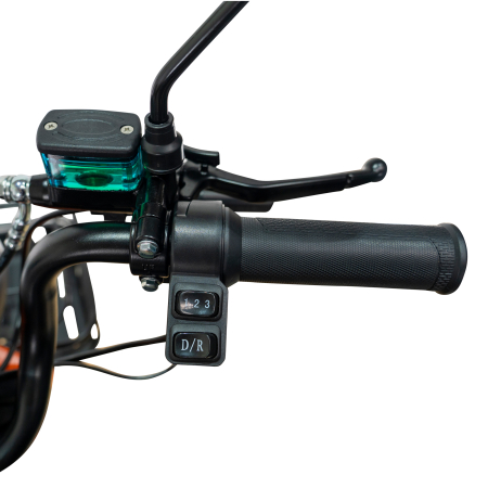 Triciclu electric RURIS Pilot 3020N [9]