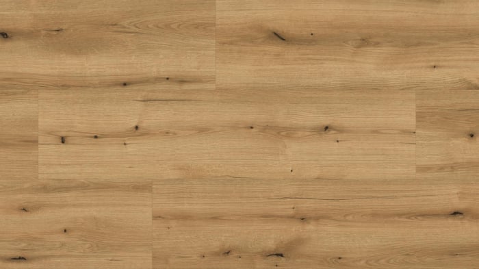 Parchet laminat, Kaindl, Masterfloor K5573, Oak Evoke Coast, 10 mm 32/AC4 4V [2]