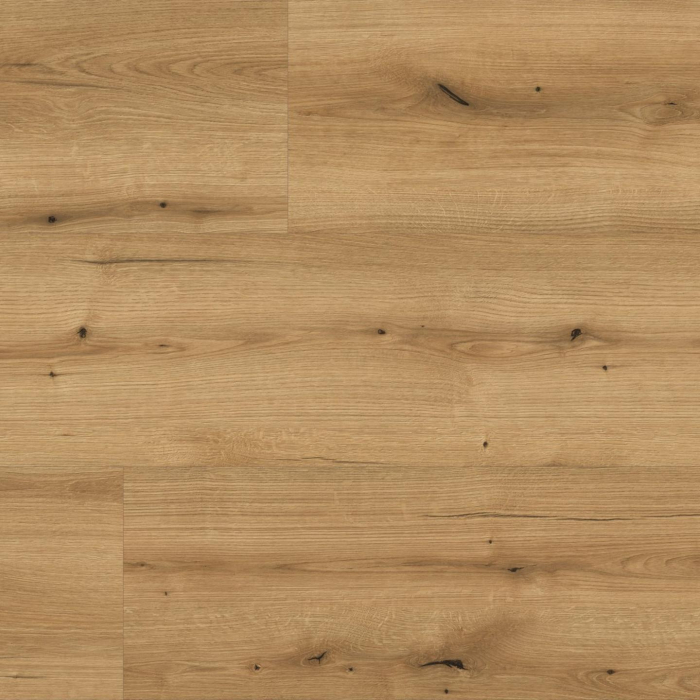 Parchet laminat, Kaindl, Masterfloor K5573, Oak Evoke Coast, 10 mm 32/AC4 4V [1]