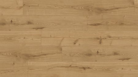 Parchet laminat, Kaindl, Classic Touch 37813, Oak Severina, 8 mm 32/AC4 4V [1]