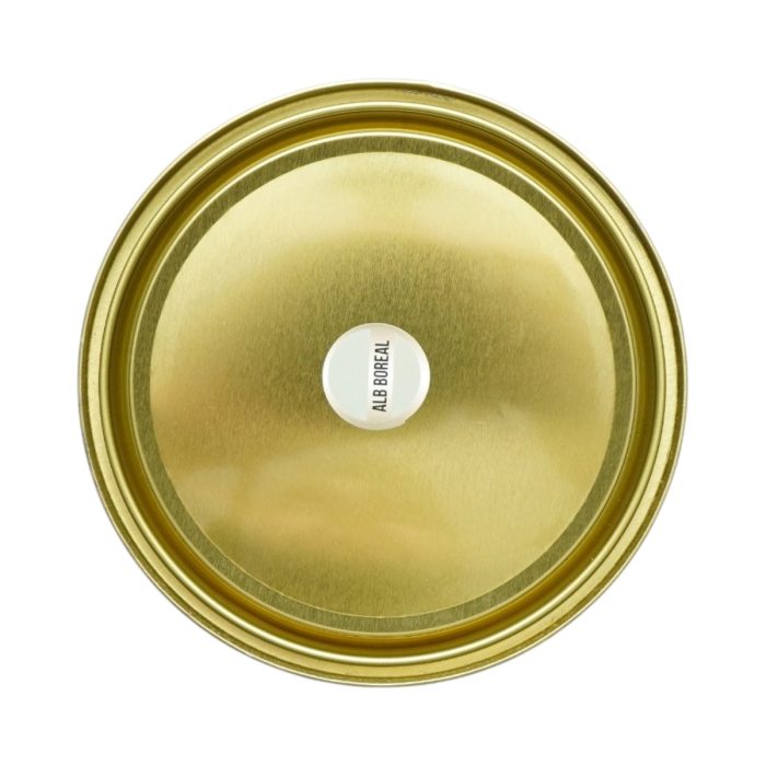 Vopsea alb boreal 2000g email anticoroziva 3 in 1 pentru metal, direct pe rugina, pe baza de apa [2]
