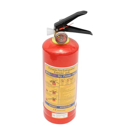 Chit siguranta auto - Stingator auto 1kg P1