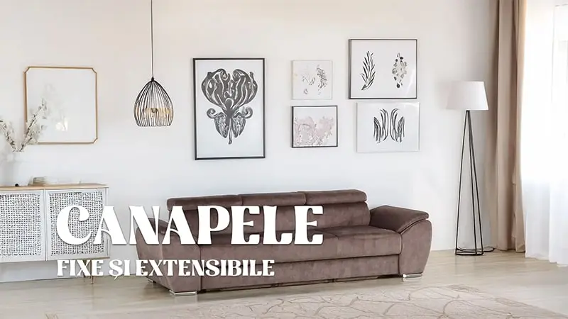 Canapele Extensibile - Canapele Fixe - Canapele pentru Living - Canapele la Preț de Producător - Mobil