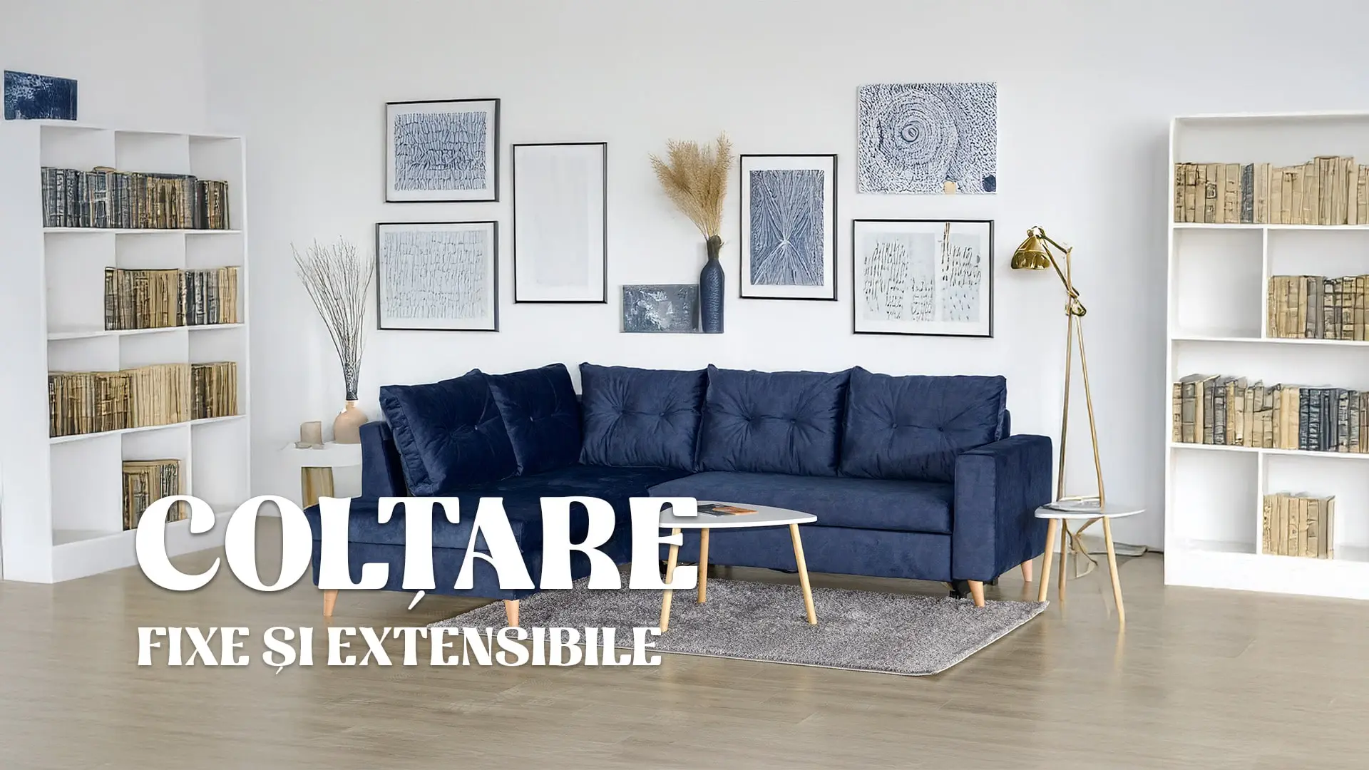 Colțare Extensibile - Colțare Fixe - Colțare cu Ladă - Canapele de Colț - Preț de Producător