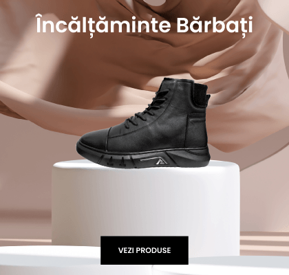 Incaltaminte Barbati