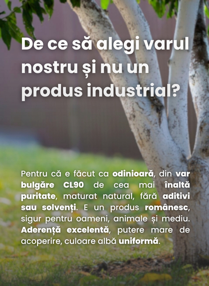 De ce sa alegi varul asta?