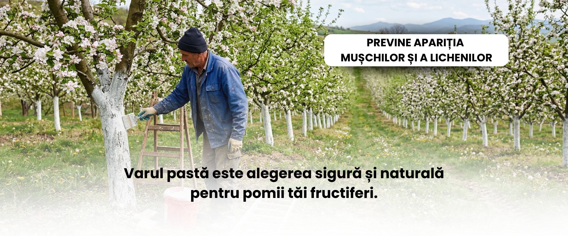 BANNER VARPASTA DESKTOP 4