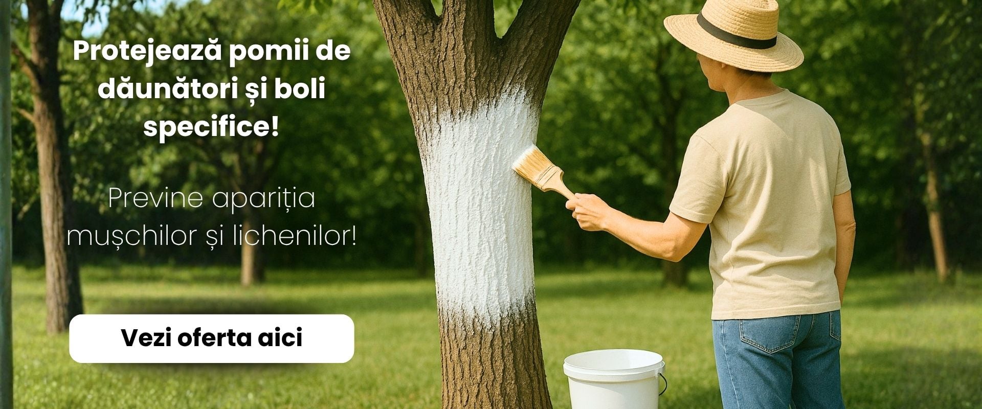 BANNER VARPASTA DESKTOP 2