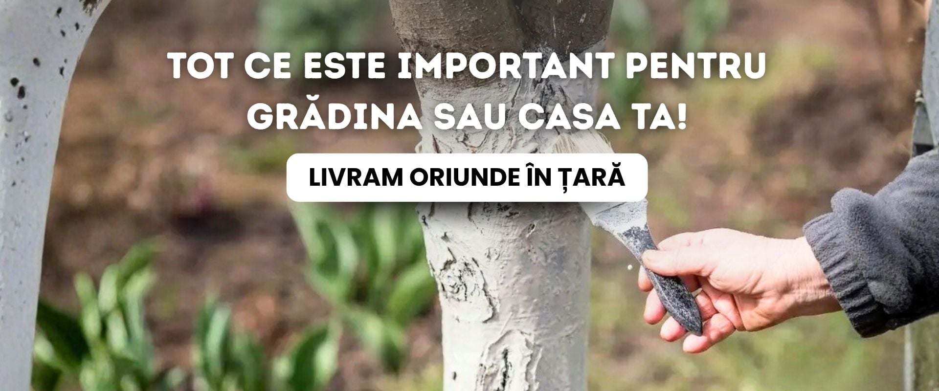 Var pasta pentru copaci