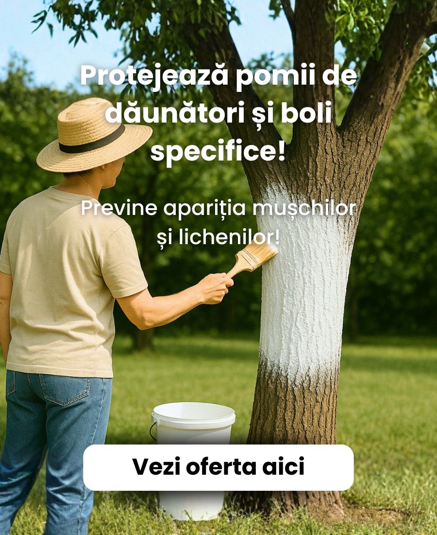 BANNER VARPASTA MOBIL 2