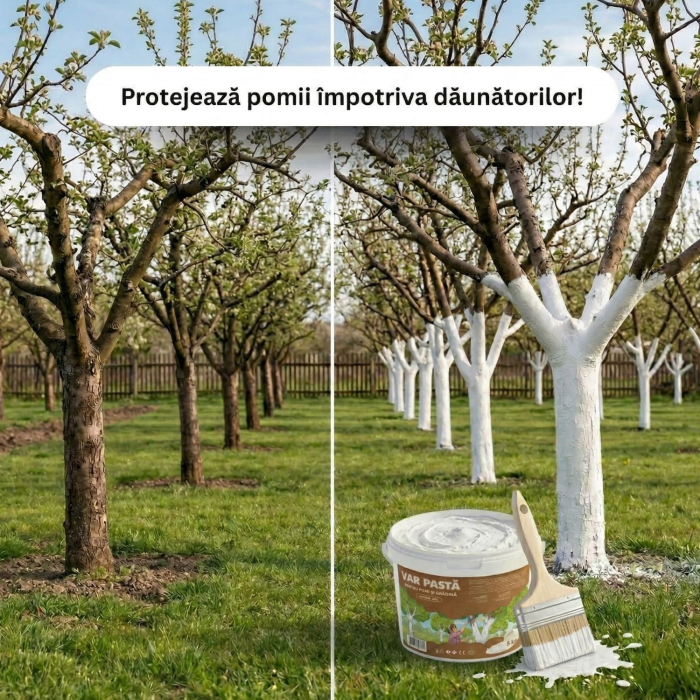 Var pastă pentru pomi, 5 kg, protecție naturală pentru livada sau grădina ta [6]