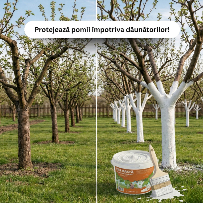 Var pastă pentru pomi fructiferi, 3 kg, gata de aplicat, din var bulgăre stins, rezistență maximă la intemperii și îngheț [5]