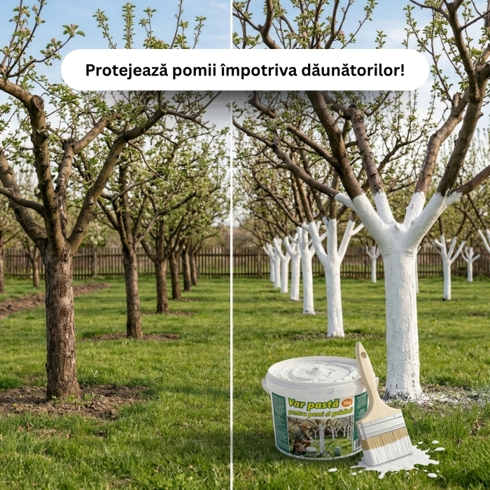 Var pastă pentru pomi fructiferi, livezi și gospodării, 5 kg [5]
