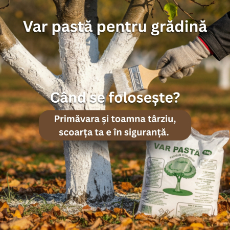 Pungă cu var pastă ecologic 5 kg, protecție naturală pentru pomii tăi [3]