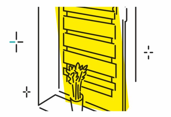 Jaluzele pentru geamuri