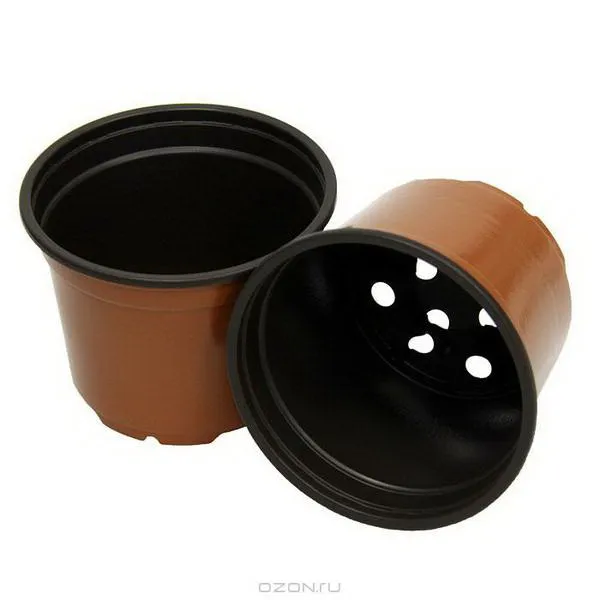 Grădinărit și accesorii - Ghivece de plastic pentru rasaduri BN-90 V=0.365 L, D1/D2=8.6/6.5 cm, H=9 cm