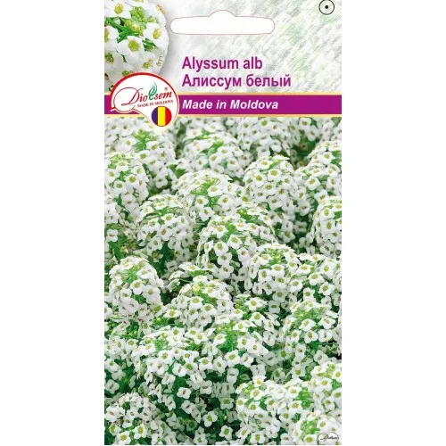Irigare - Seminte de Alyssum alb 0.2 g (1209 30 000)  DS