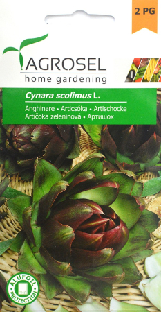 Grădinărit și accesorii - Seminte de Anghinare 1.3 g (1209 91 800)  AS