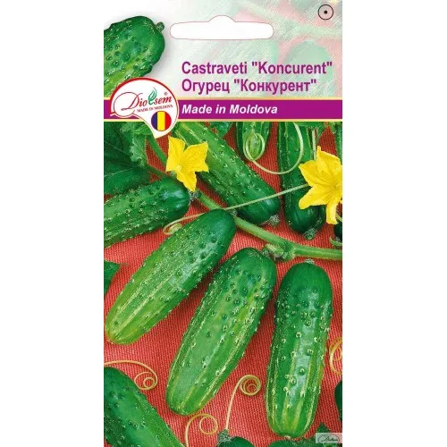 Semințe de legume, flori și tot pentru gazon - Seminte de Castraveti Koncurent 1 g (1209 91 800)  DS