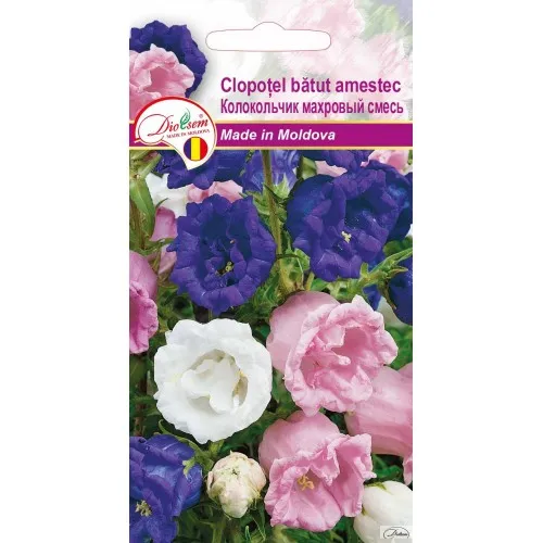Semințe de legume, flori și tot pentru gazon - Seminte de Clopotel batut amestec 0.1 g (1209 30 000)  DS (8001)