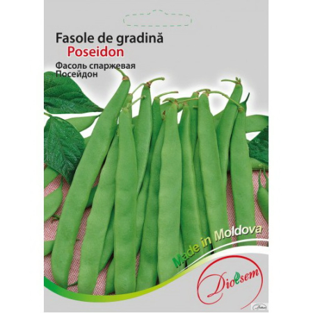 Semințe de legume, flori și tot pentru gazon - Seminte de Fasole de gradina verde Poseidon 20 g (0713 39 00)  DS