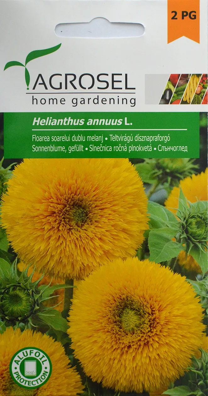 Grădinărit și accesorii - Seminte de Floarea soarelui dublu 3 g (1209 30 000)  AS