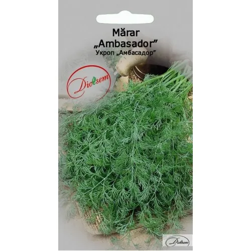 Semințe de legume, flori și tot pentru gazon - Seminte de Marar Ambasador 3 g (1209 99 990)  DS