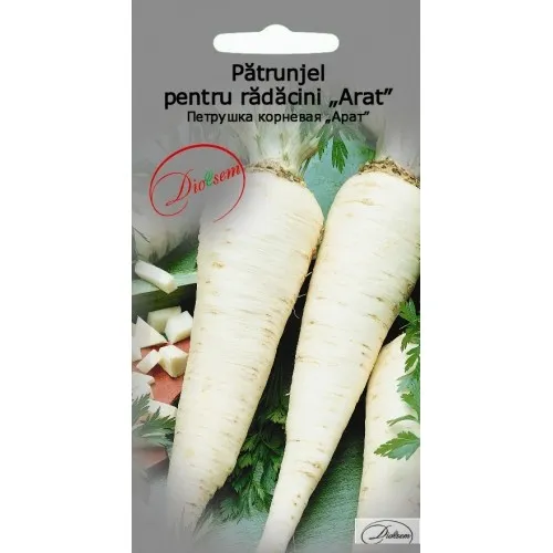 Semințe de legume, flori și tot pentru gazon - Seminte de Patrunjel pentru radacini Arat 3 g (1209 99 990)  DS
