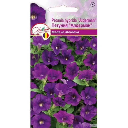 Irigare - Seminte de Petunia Alderman 0.1 g (1209 30 000)  DS