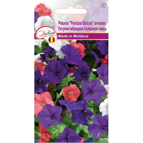 Irigare - Seminte de Petunia Pendula Balcon amestec 0.1 g (1209 30 000)  DS