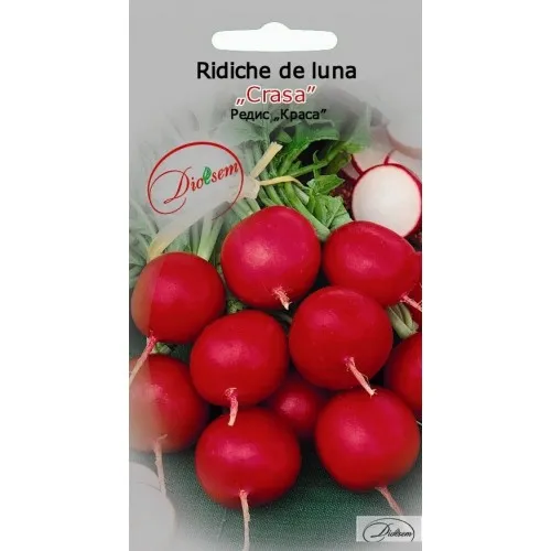 Grădinărit și accesorii - Seminte de Ridiche de luna Krasa 3 g (1209 91 800)