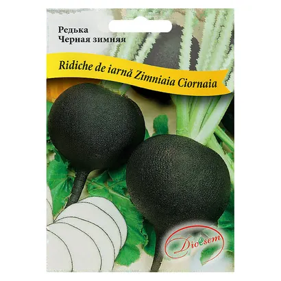 Semințe de legume, flori și tot pentru gazon - Seminte de Ridiche neagra de iarna 3 g (1209 91 800)  DS