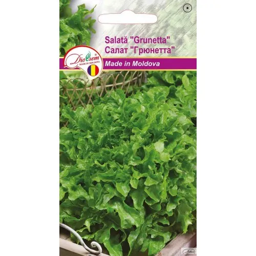 Semințe de legume, flori și tot pentru gazon - Seminte de Salata Grunetta 1 g (1209 99 990)  DS